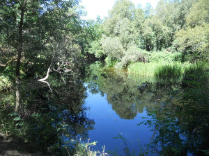 Parque Natural da Mata da Na. Sra. de Lurdes